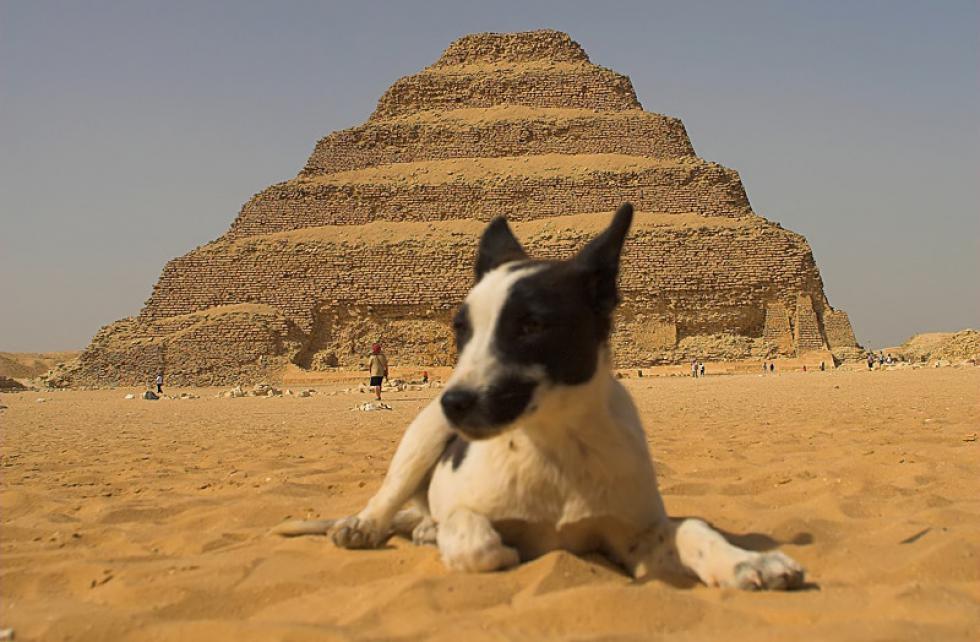 La Pirámide escalonada de Saqqara